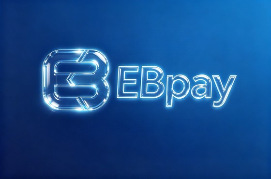 ebpay官网页面阅读示意图